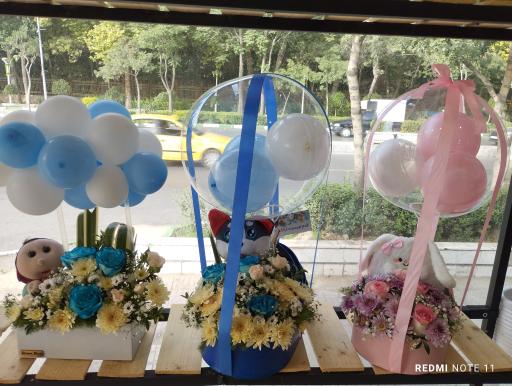 عکس گلسرای بهار