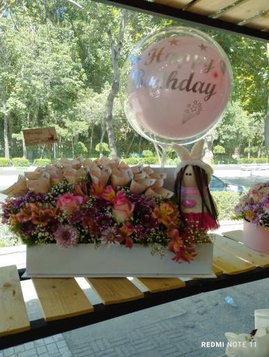 عکس گلسرای بهار