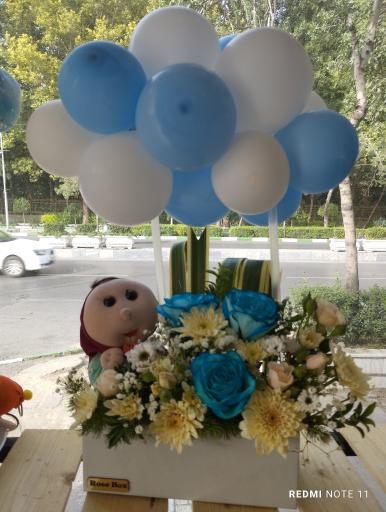 عکس گلسرای بهار