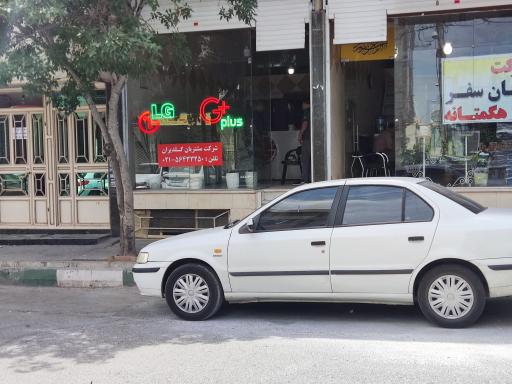 عکس نمایندگی گلدیران 20146