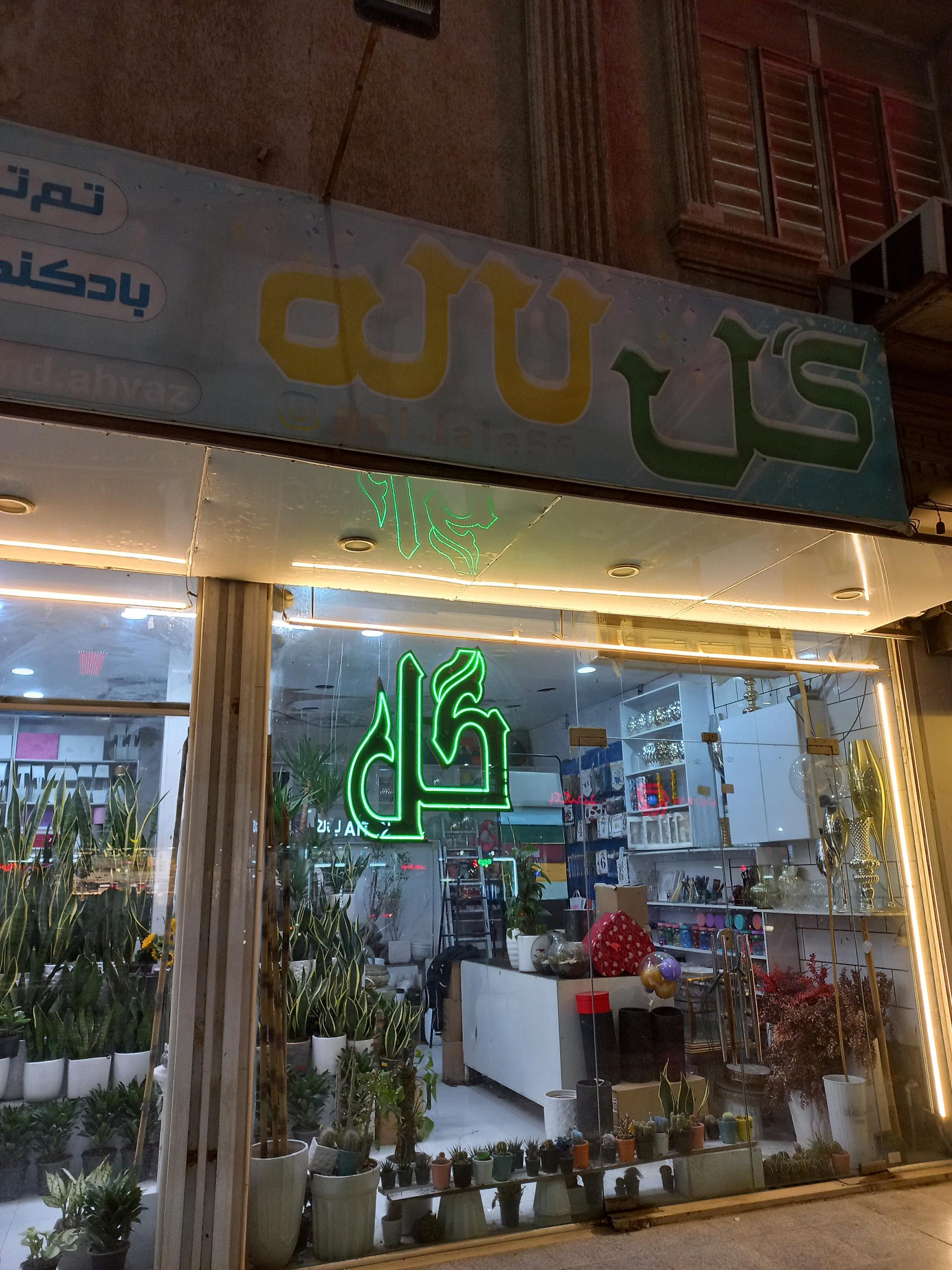 عکس گل لاله