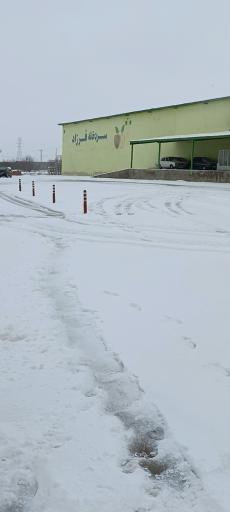 عکس سردخانه فرزاد