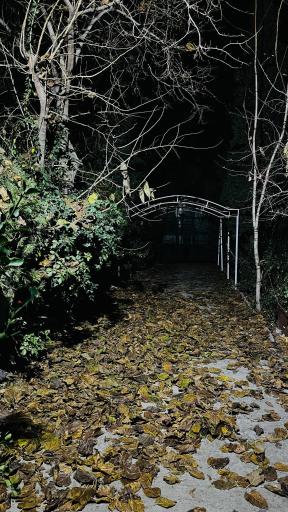 عکس اتاق فرار باغ متروکه ۱ طرقبه مشهد