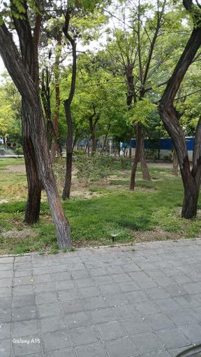 عکس بوستان پزشک