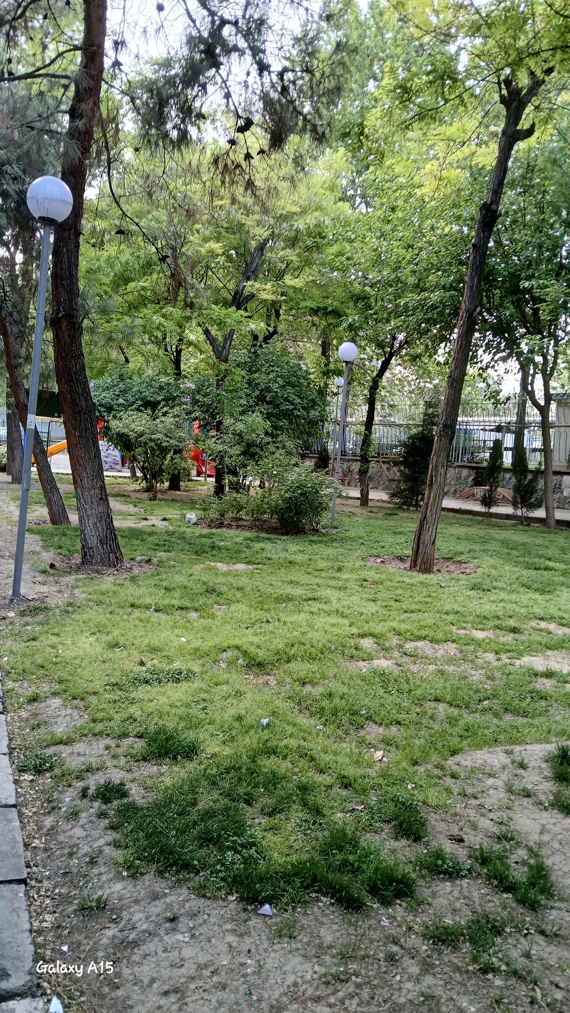 عکس بوستان پزشک