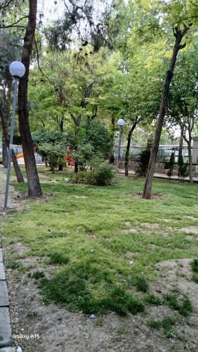 عکس بوستان پزشک