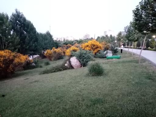 عکس رود پارک