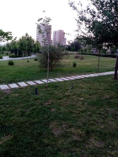 عکس رود پارک