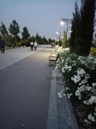 عکس رود پارک