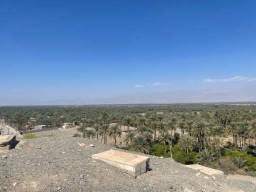 عکس باغ بابوئیه