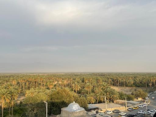 عکس باغ بابوئیه