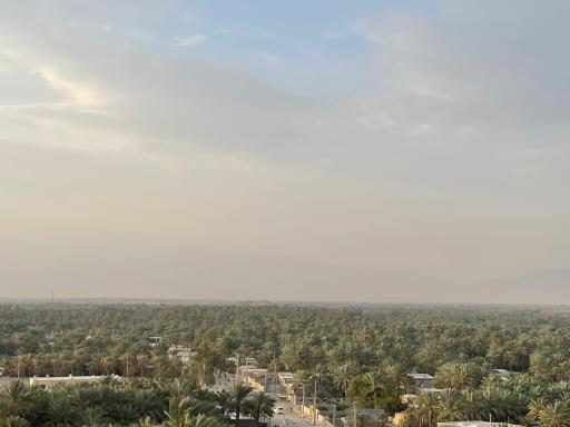 عکس باغ بابوئیه