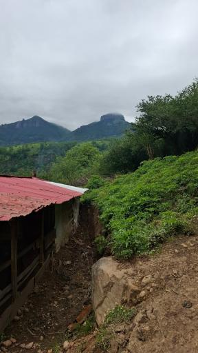 عکس لوندویل