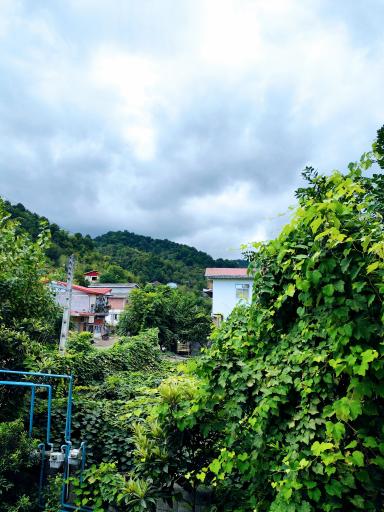 عکس لوندویل