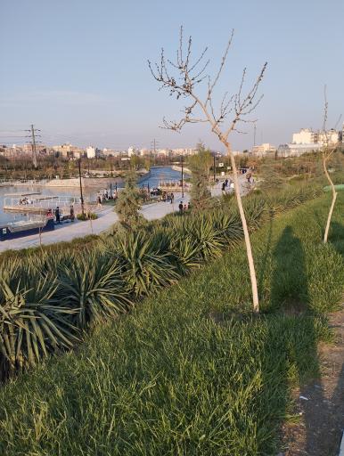 عکس رود پارک