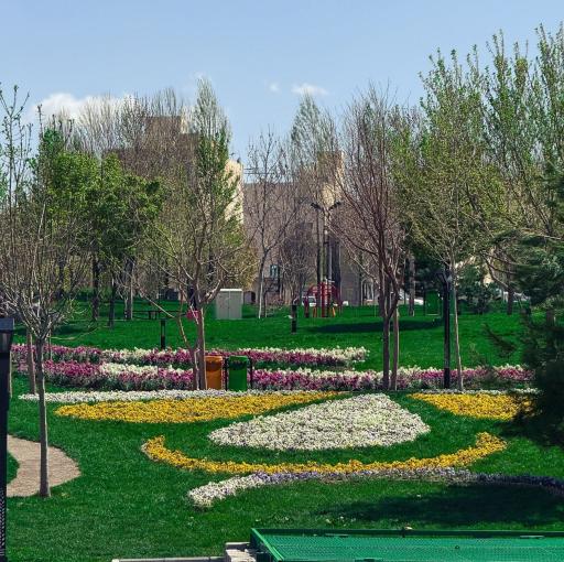 عکس رود پارک