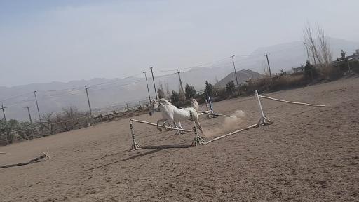 عکس باشگاه سوارکاری صحرا(قربانی)