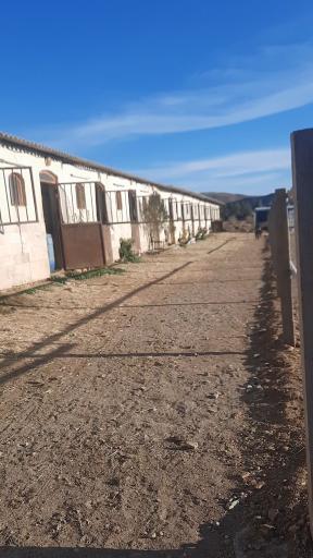 عکس باشگاه سوارکاری صحرا(قربانی)