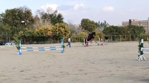 عکس باشگاه سوارکاری صحرا(قربانی)