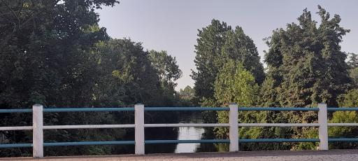 رودخانه زیبای انزلی محله 