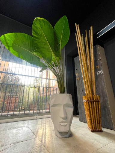 عکس باشگاه بدنسازی ۷