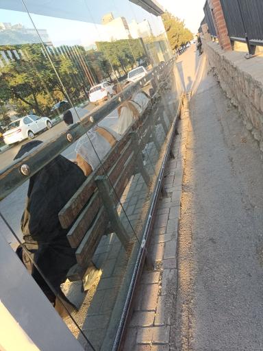 عکس  آموزگار24