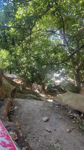 عکس آبشار و پارک کوهستانی تقرچه