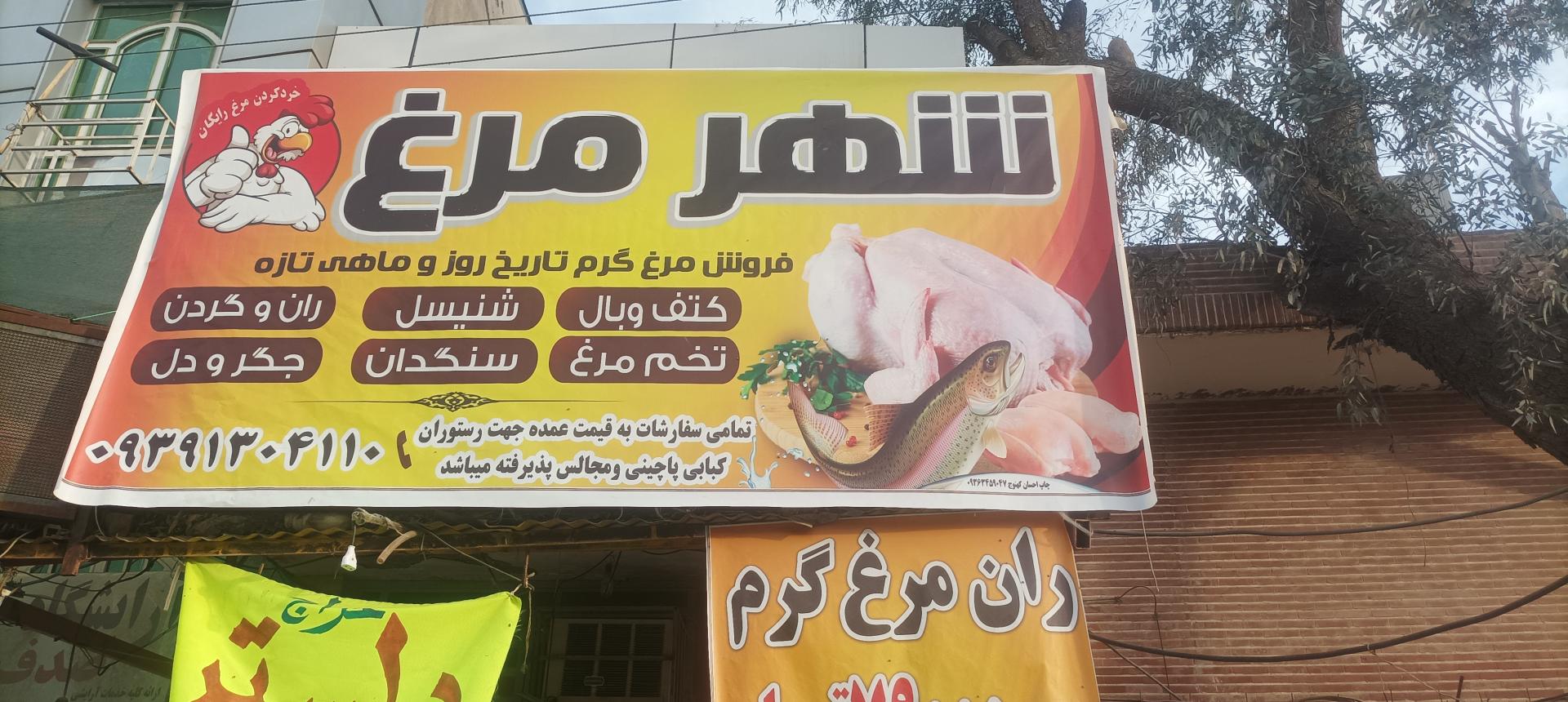 عکس شهر مرغ