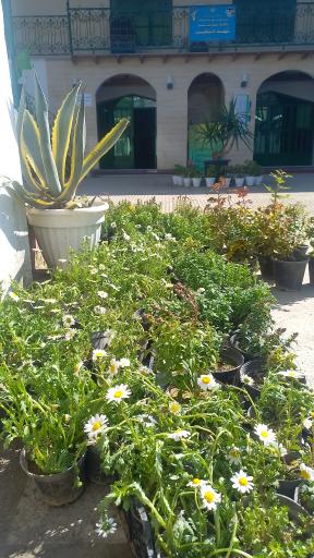 عکس مسجد حضرت امیرالمومنین علی (ع)