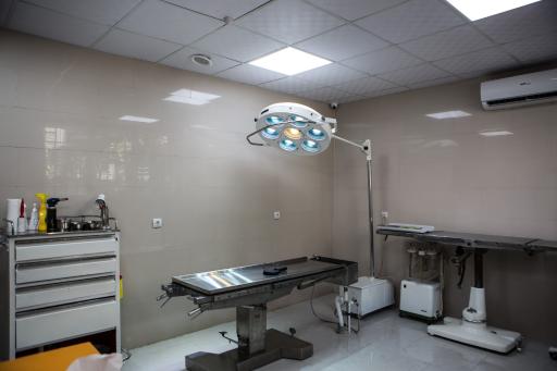 عکس کلینیک دامپزشکی آیرانا