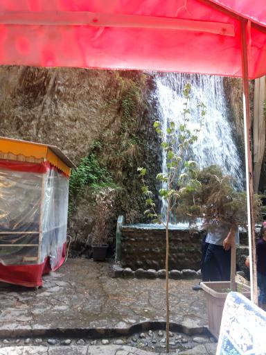 عکس کافه آبشار