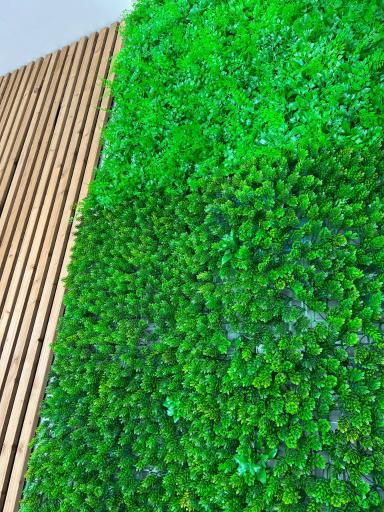 عکس تولید و پخش ترموود قادروند