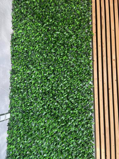 عکس تولید و پخش ترموود قادروند