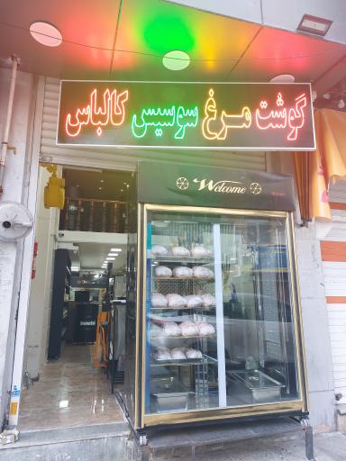 ژیکو پروتئین