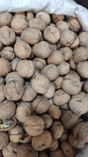 عکس آجیل داغ و خشکبار شفیعی 