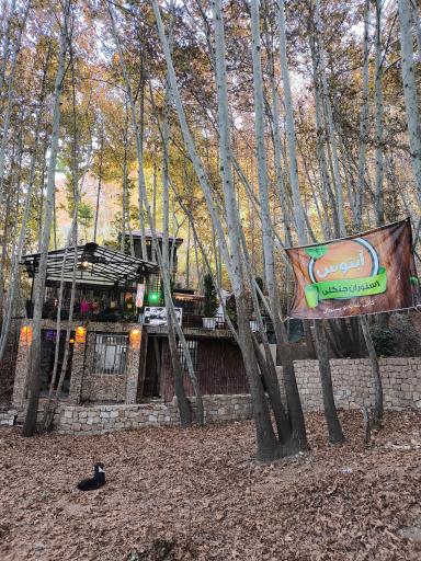 عکس رستوران آبنوس