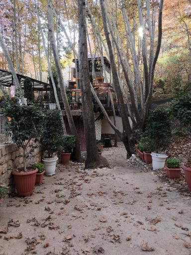 عکس رستوران آبنوس