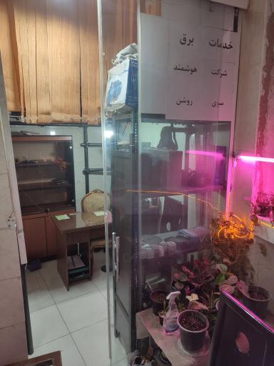 عکس هوشمند سوی روشن