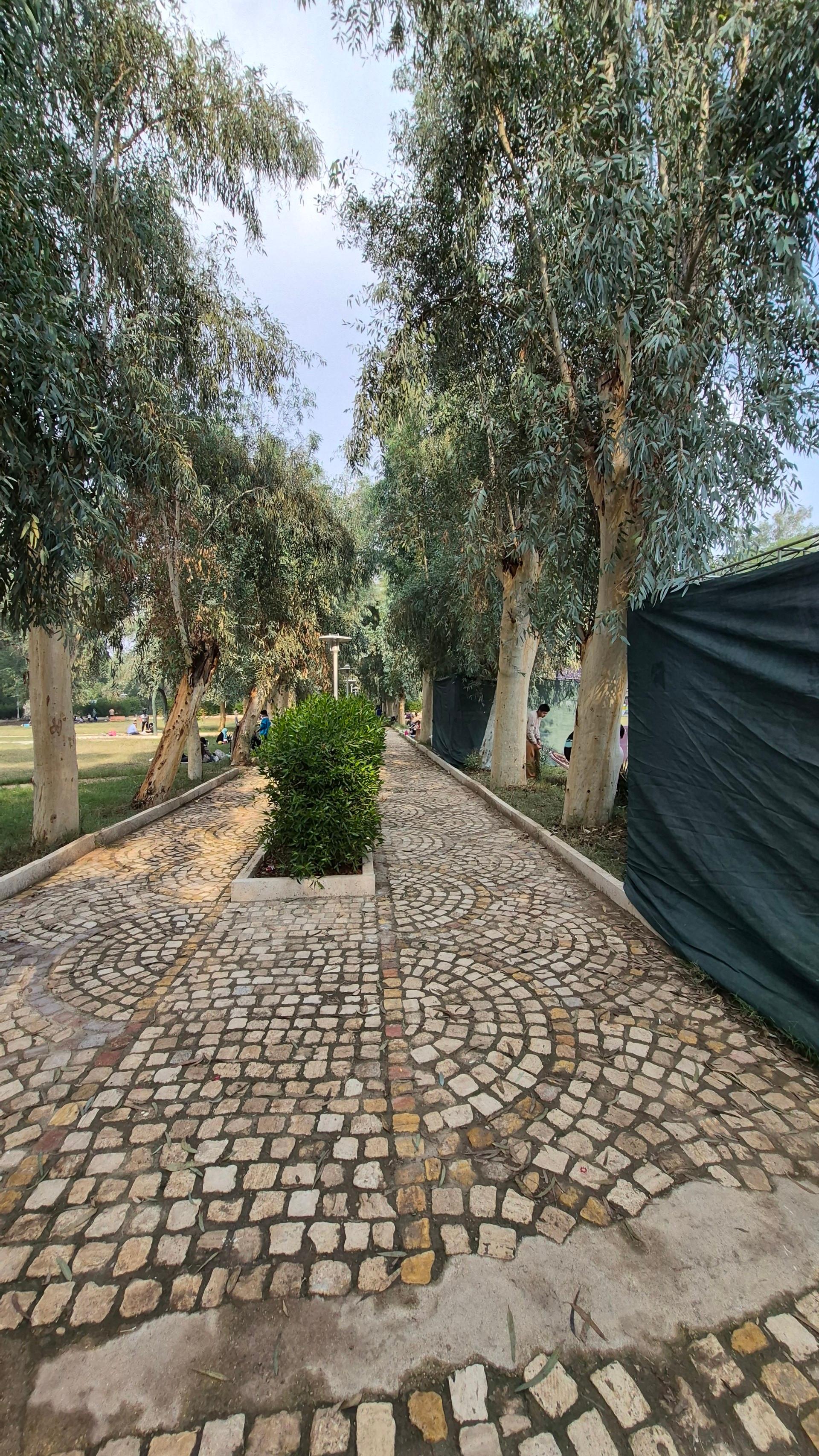 عکس پارک ارم