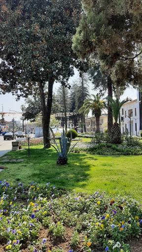 عکس میدان شهرداری