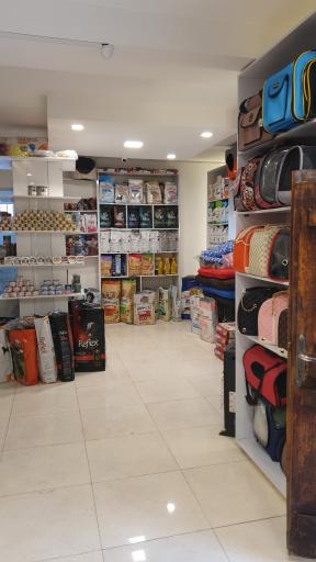 عکس کلینیک دامپزشکی اکسیر