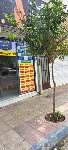 عکس کافی نت امید