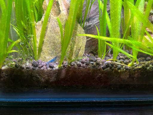 عکس تهران آکواریوم