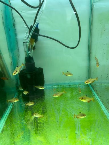 عکس تهران آکواریوم