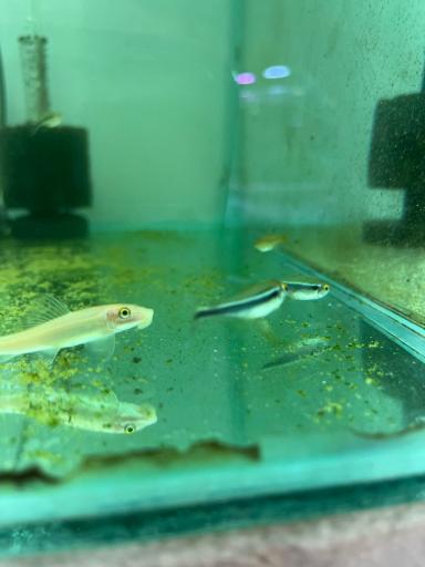 عکس تهران آکواریوم