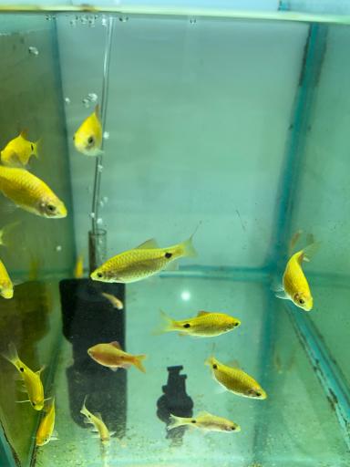 عکس تهران آکواریوم