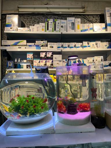 عکس تهران آکواریوم