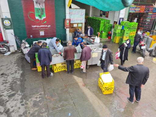 عکس مزرعه رادان