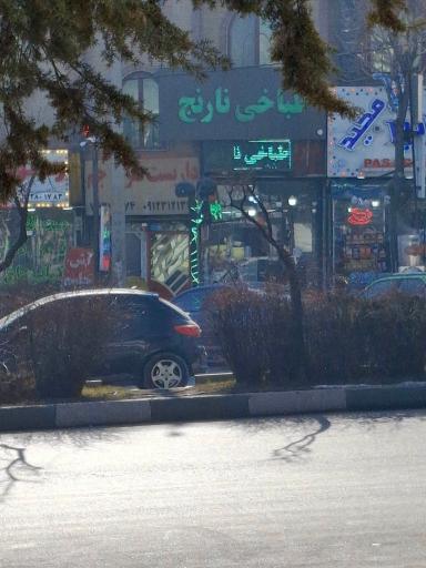عکس طباخی نارنج
