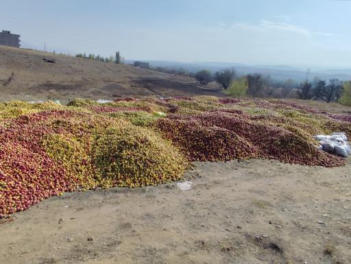 عکس مرکز خرید سیب پیرزاده